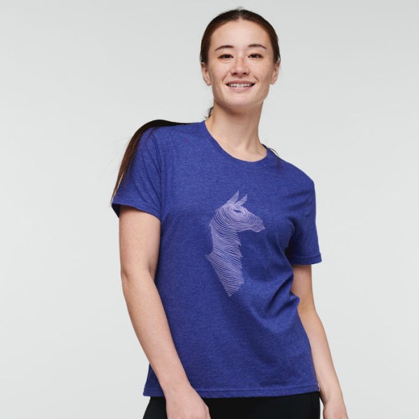 Cotopaxi Mærker Topo Lama T-shirt Kvinder Blå Violet
